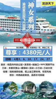 “海外旅游最新计划”与“国内旅游业务”双轨并行，旅游市场迎来复苏新格局